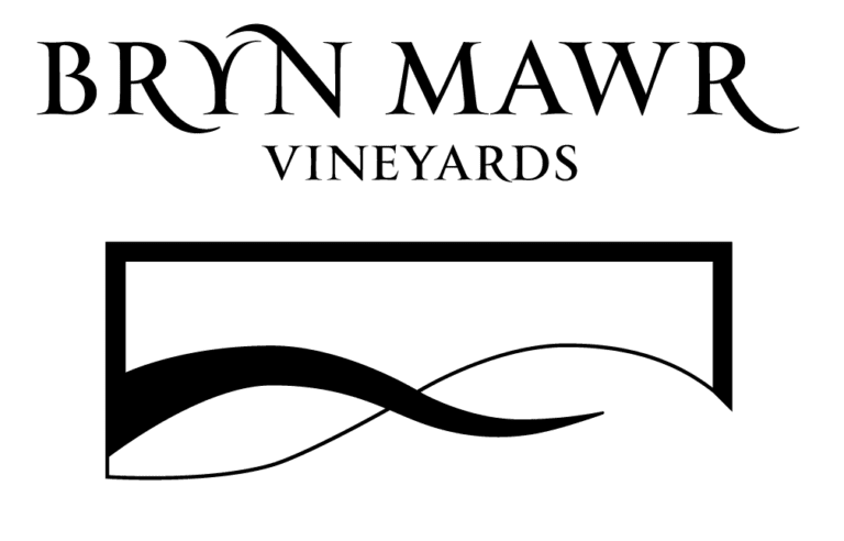 BMV_Logo-01