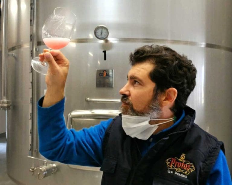 Head Oenologist at Protos Cigales Winery - Pedro Martin