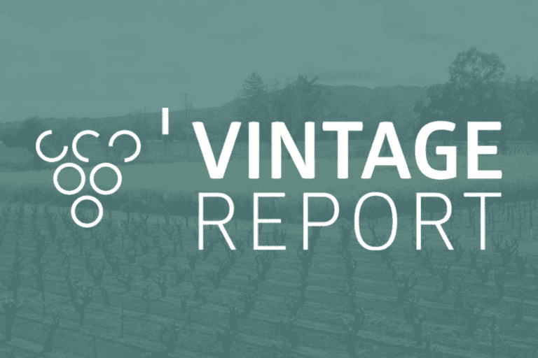 Vintage Report 2021