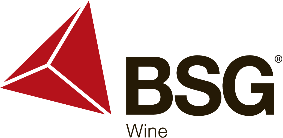 BSG logo