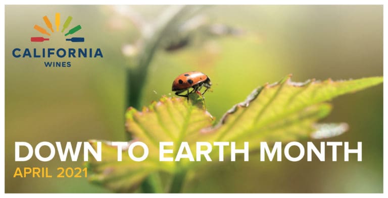 unnamed - 2021-03-26T110820