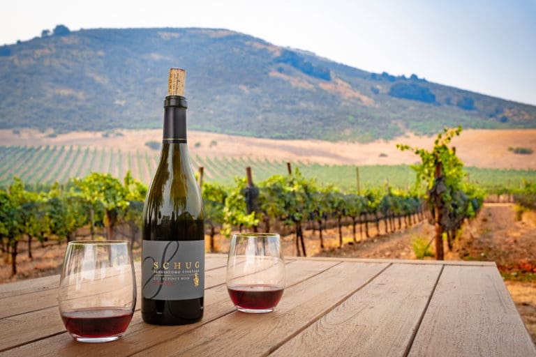 Estate Pinot with Vineyard