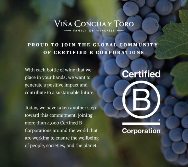VCyT_BCorp_ENG_-_lr