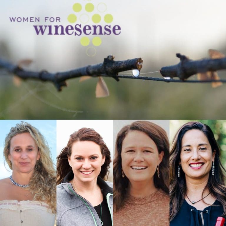 WWS April 7 2021 Vit Leadership Panel