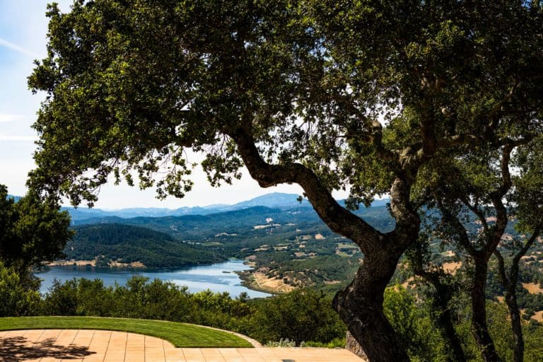 TOR Napa Valley_landscape