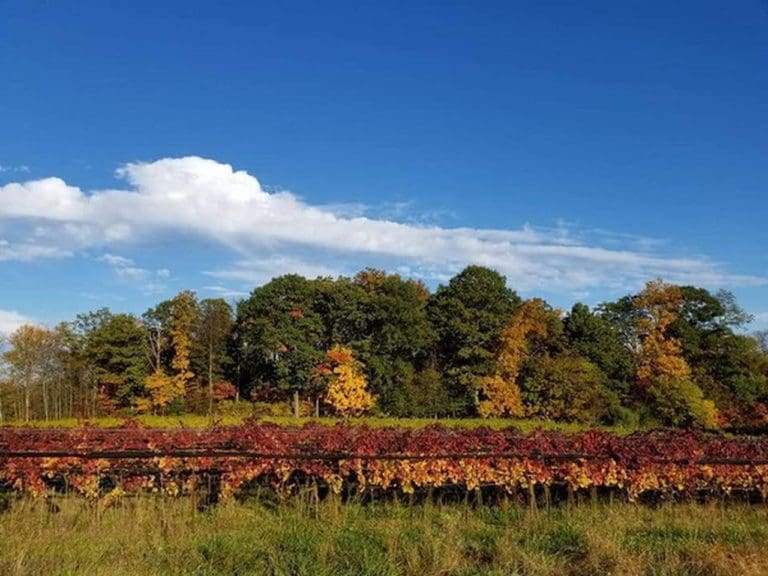 HGKAF35L7FG6TJGHYINDHXL7MQ