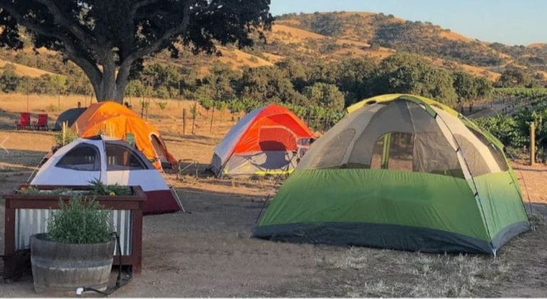 unnamed - 2021-06-14T103107