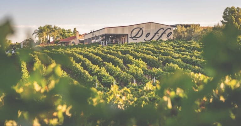 Doffo-Winery-Vineyards-1-2000x1048