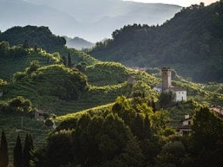 unnamed - 2021-10-20T144815