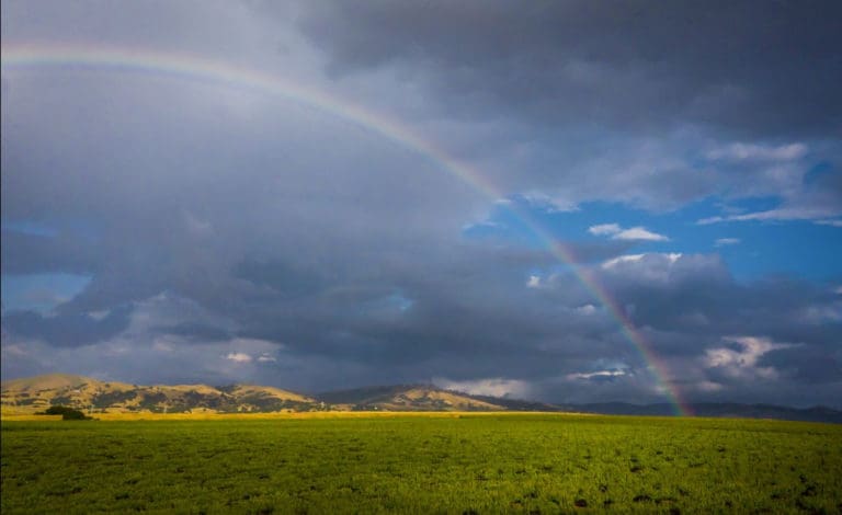 unnamed - 2022-02-24T091310