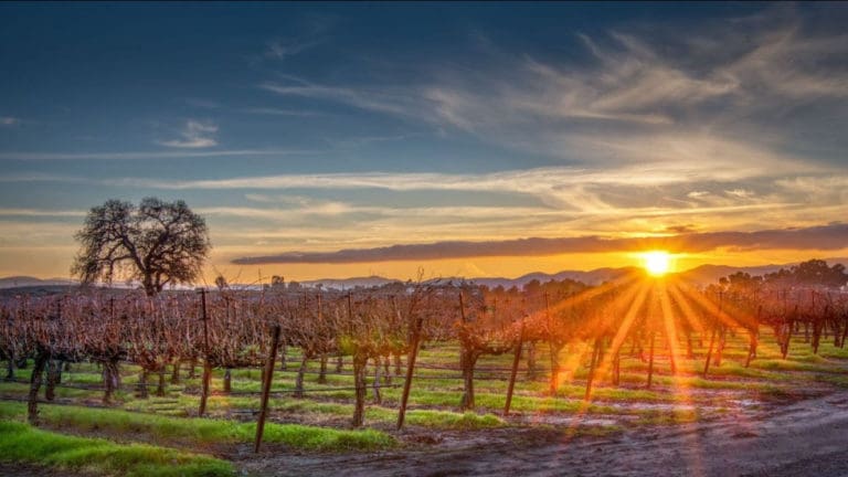 unnamed - 2022-02-15T110851