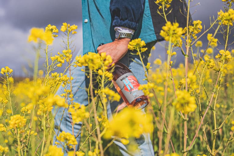 CJ_Rose_Adelsheim_field_2021