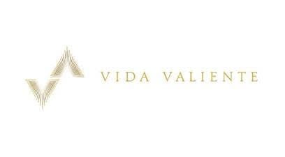 Vida_Valiente_logo