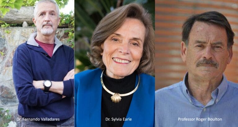 WhatsApp Image 2022-05-25 at 7.14