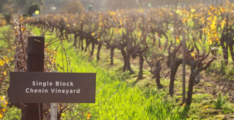 L'Avenir vineyard