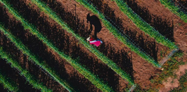 REVIEW-To-Which-We-Belong-2