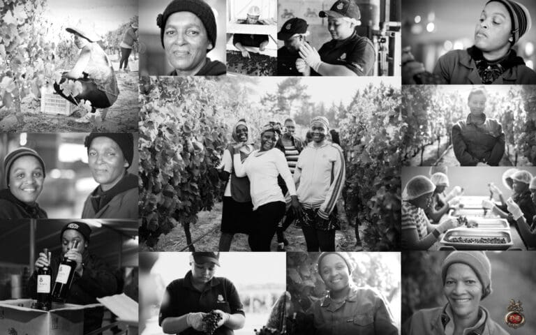 SA Womens Day Post Image (FA)