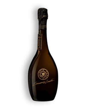 Gloria Ferrer Carneros Cuvee [Photo courtesy Saverglass]