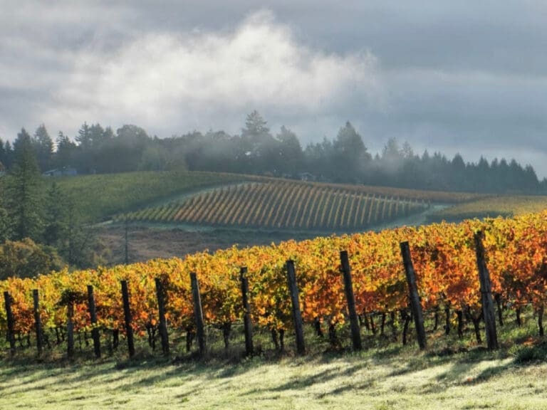 unnamed - 2022-10-06T093111