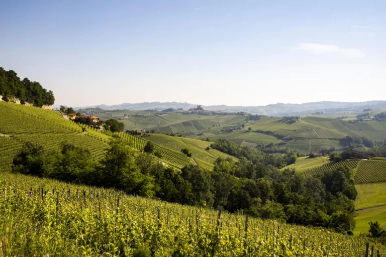 unnamed - 2022-10-19T083216