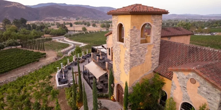 Renzoni_vineyard_1200