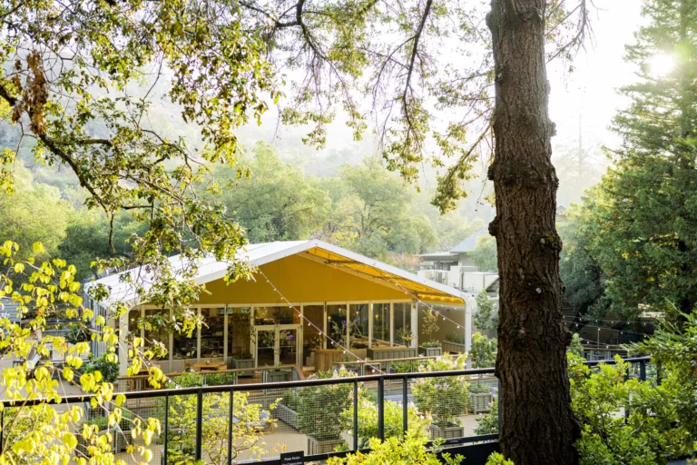 Forum-at-Meadowood-scaled