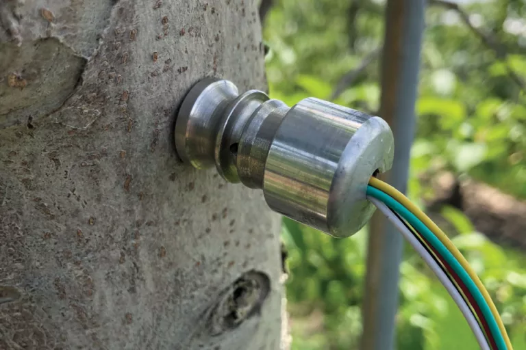 FloraPulse-microsensor-apple-tree
