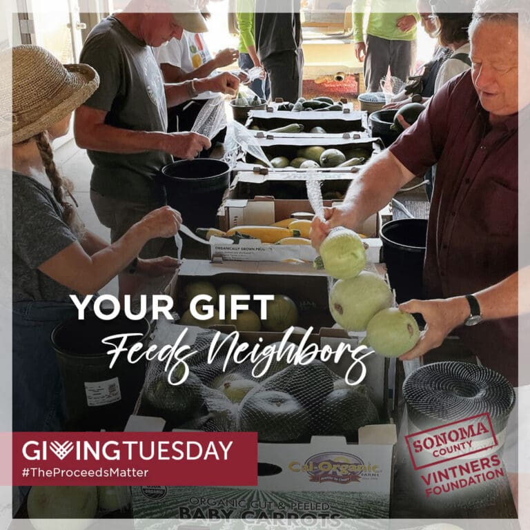 Sonoma County Vintners_GIvingTuesday