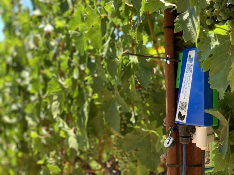 Agrology Sensor Vineyard - Landscape