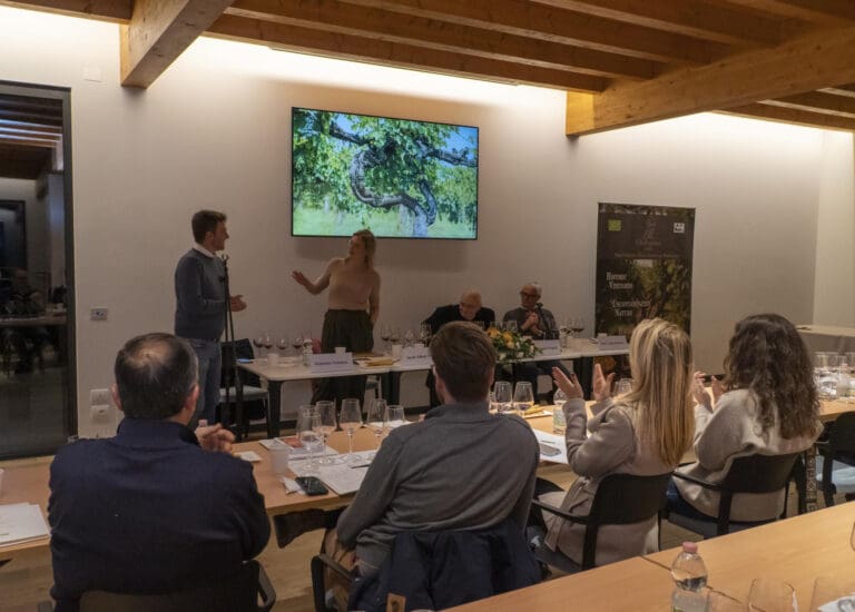 unnamed - 2022-12-15T093514