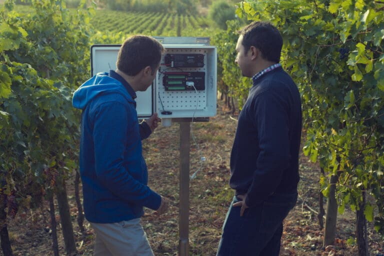 vineyard-tech-concha-y-toro