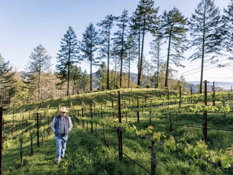 GambleFamilyVineyardsBudBreakatMt