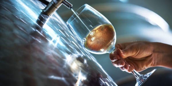 Wine Industry Advisor