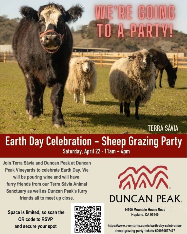 FB75E168-6FD5-4029-B1CF-E1BE01038D4F