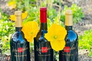 MuscardiniBottles_thumb