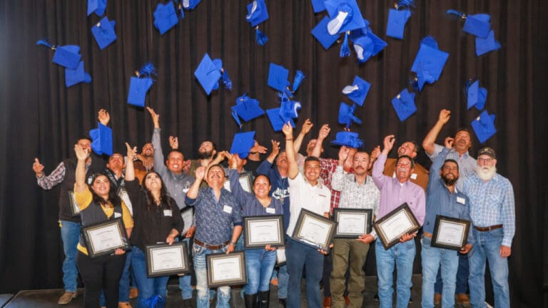 2023-06-28-SWG-quick-picks-small-1-1288x724