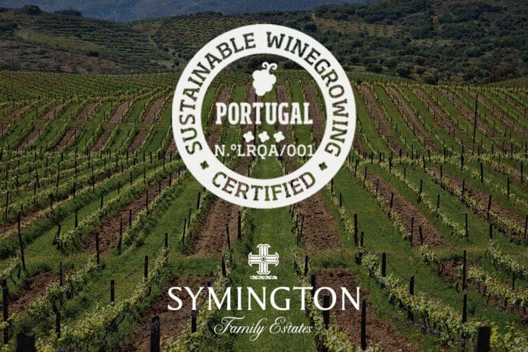 SFE_Sustainable_Winegrowing_Certification_thumb