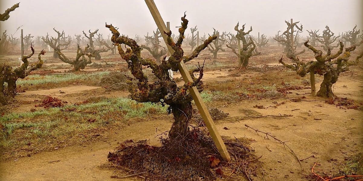 Wine Industry Sales Symposium