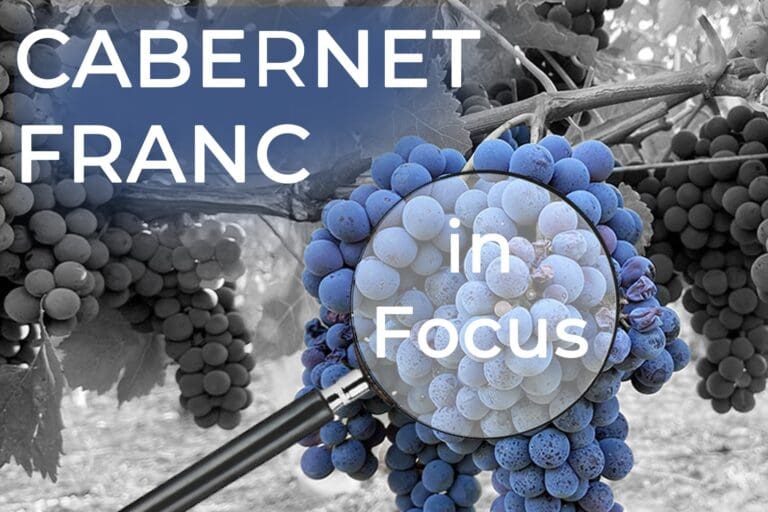 Sept13CabFranc_thumb