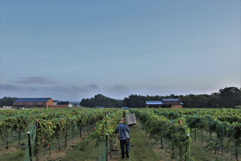 unnamed - 2023-08-21T091306