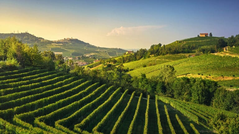 unnamed - 2023-08-02T093608