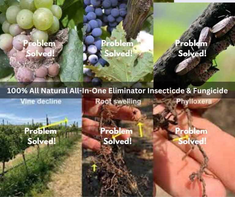 The Amazing Dr 2 (1)