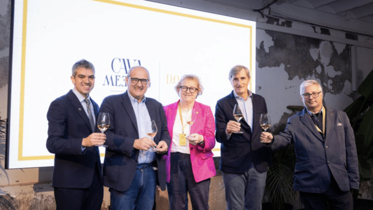 Cava Meeting Final