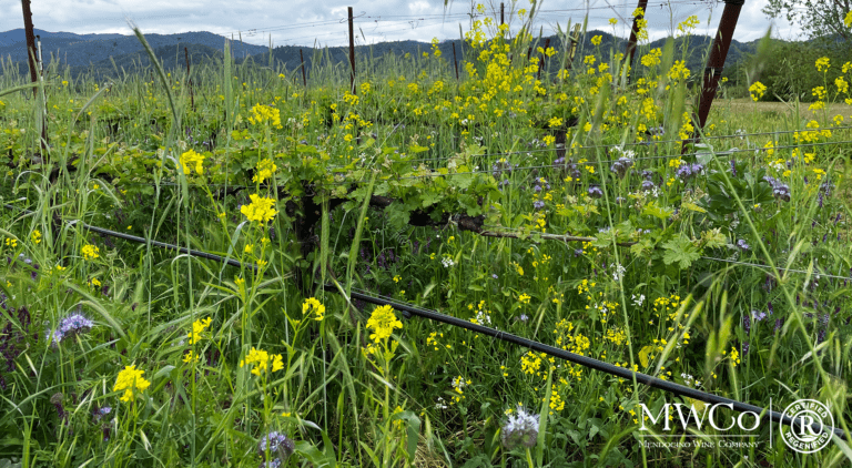 MWCo Home Ranch Vineyard-Certified Regenified