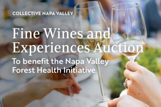 unnamed - 2023-11-09T084617