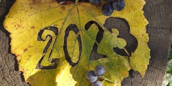 North Coast Wine Industry Expo