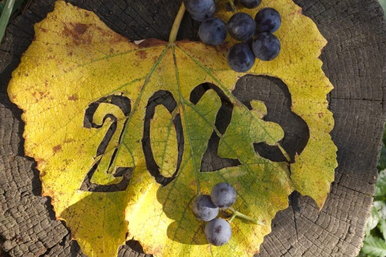 2023,Year,Cut,Out,From,Vine,Leaf,With,With,A