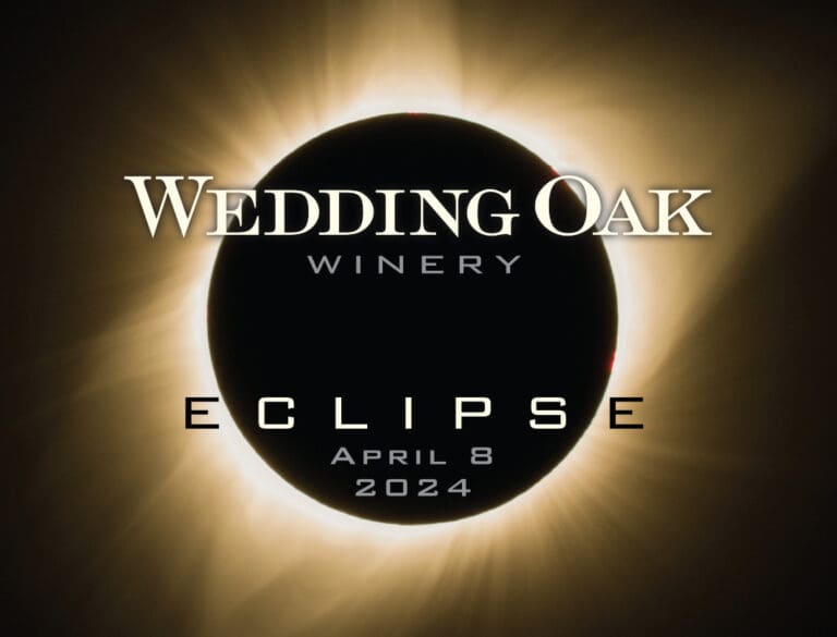 unnamed - 2024-02-29T160008