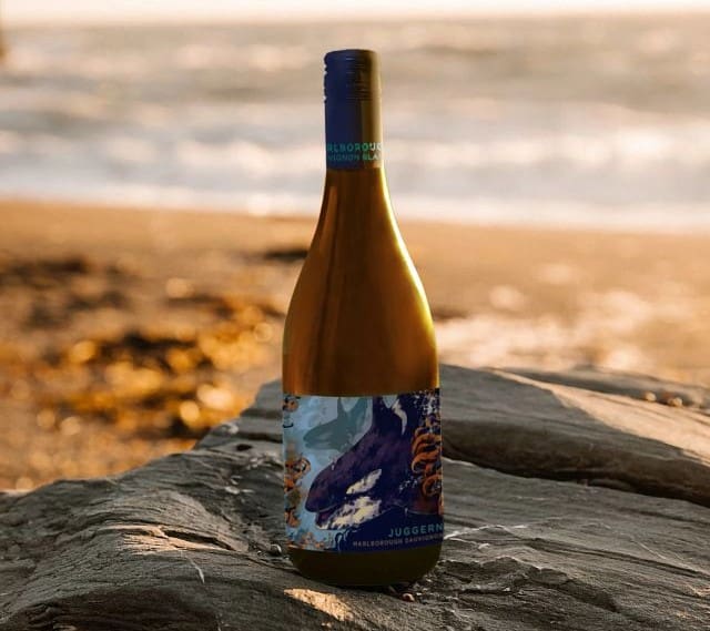JUG_Sauvignon_Blanc_Beach_Rock_thumb