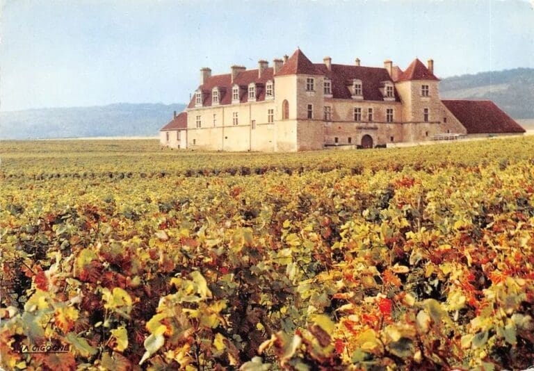 WhatsApp+Image+2024-03-27+at+10.34